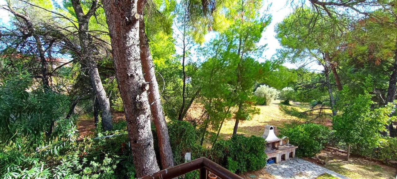 High Aesthetics Maisonette In The Wood By The Sea Μεταμόρφωση Εξωτερικό φωτογραφία
