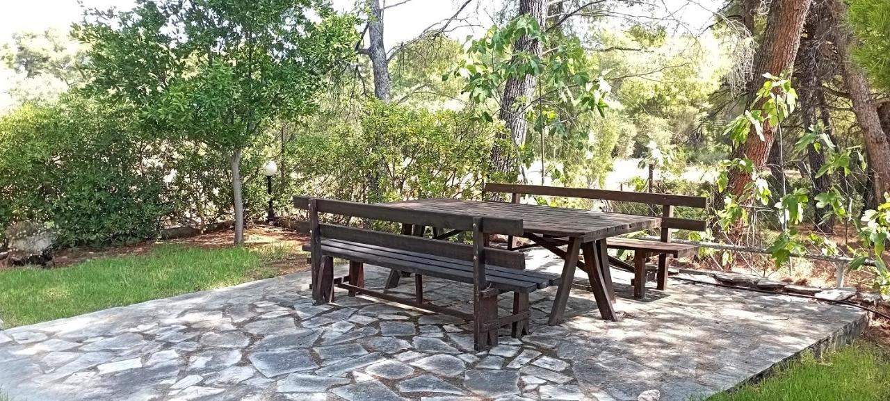 High Aesthetics Maisonette In The Wood By The Sea Μεταμόρφωση Εξωτερικό φωτογραφία